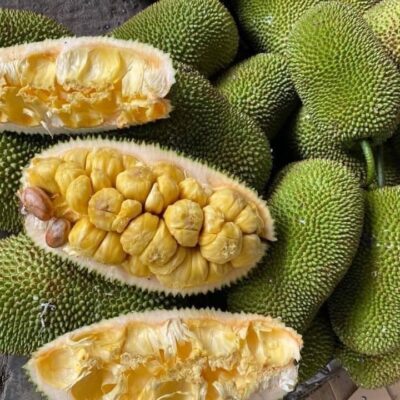 10 Health Benefits of Cempedak, Description, and Side Effects