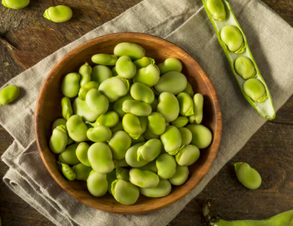 13 Health Benefits of Broad Beans, Description, and Side Effects