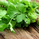 Wansoy: 11 Health Benefits of Coriander, Description, and Side Effects