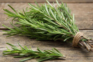 Health Benefits of Rosemary