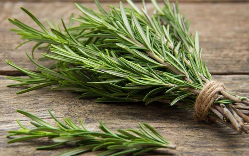 Health Benefits of Rosemary