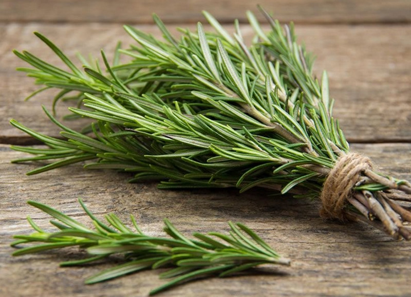 Health Benefits of Rosemary