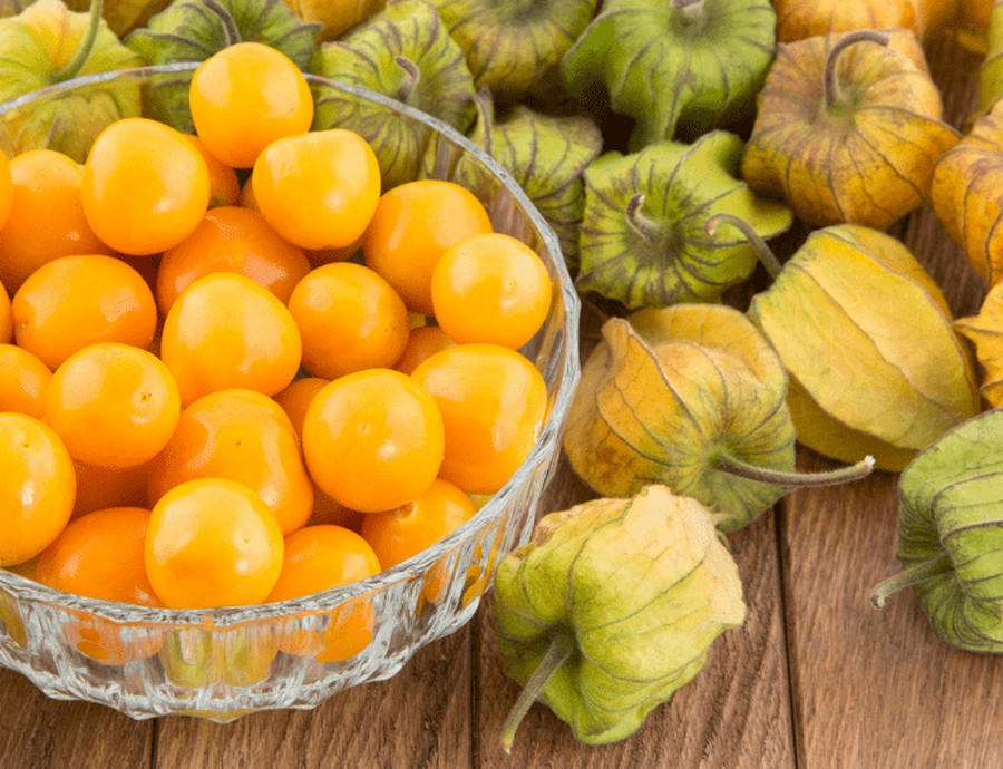 Cape gooseberry tino tino