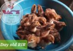 Rhode Island Red Chicks and Fertilized Eggs For Sale SJDM, Bulacan